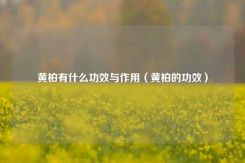 黄柏有什么功效与作用（黄柏的功效）