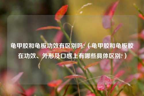 龟甲胶和龟板功效有区别吗?（龟甲胶和龟板胶在功效、外形及口感上有哪些具体区别?）