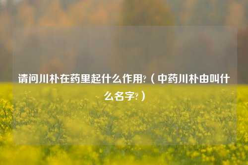 请问川朴在药里起什么作用?（中药川朴由叫什么名字?）