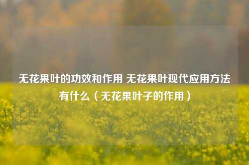 无花果叶的功效和作用 无花果叶现代应用方法有什么(无花果叶子的作用)