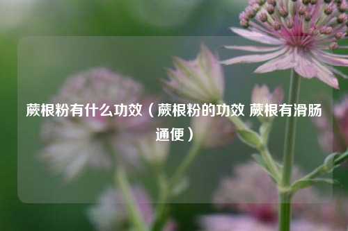 蕨根粉有什么功效(蕨根粉的功效 蕨根有滑肠通便)