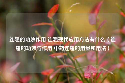 连翘的功效作用 连翘现代应用方法有什么（连翘的功效与作用 中药连翘的用量和用法）