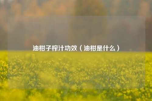 油柑子榨汁功效（油柑是什么）