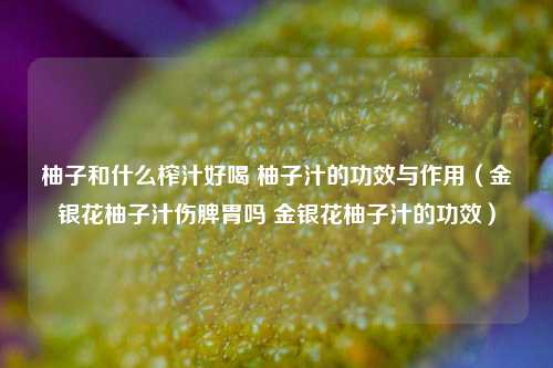 柚子和什么榨汁好喝 柚子汁的功效与作用（金银花柚子汁伤脾胃吗 金银花柚子汁的功效）
