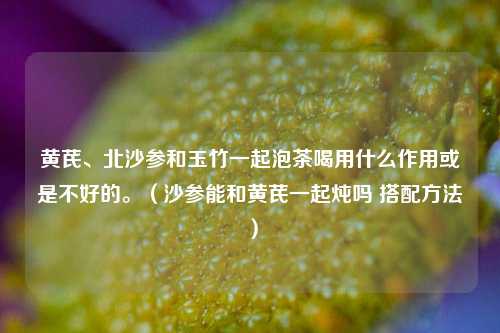 黄芪、北沙参和玉竹一起泡茶喝用什么作用或是不好的。（沙参能和黄芪一起炖吗 搭配方法）