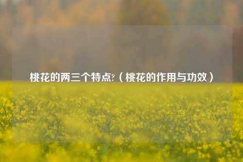 桃花的两三个特点?（桃花的作用与功效）