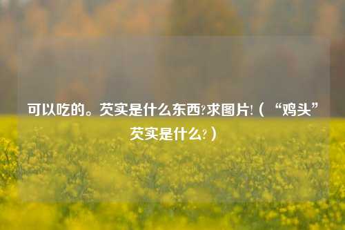 可以吃的。芡实是什么东西?求图片!（“鸡头”芡实是什么?）