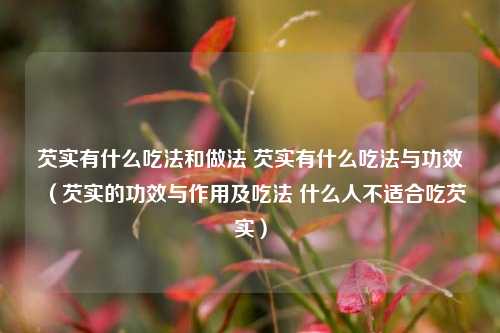 芡实有什么吃法和做法 芡实有什么吃法与功效(芡实的功效与作用及吃法 什么人不适合吃芡实)