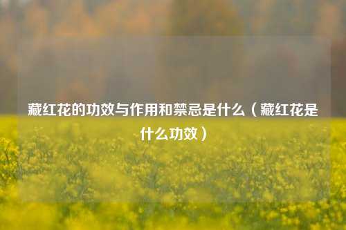 藏红花的功效与作用和禁忌是什么（藏红花是什么功效）