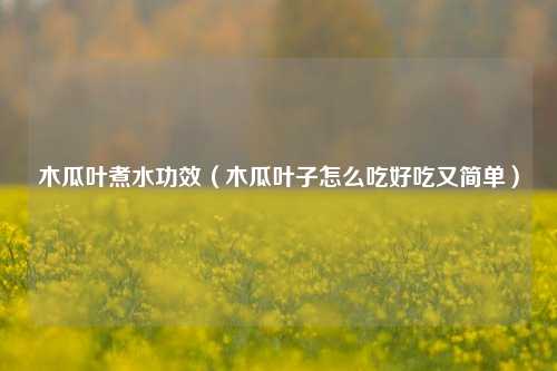 木瓜叶煮水功效(木瓜叶子怎么吃好吃又简单)