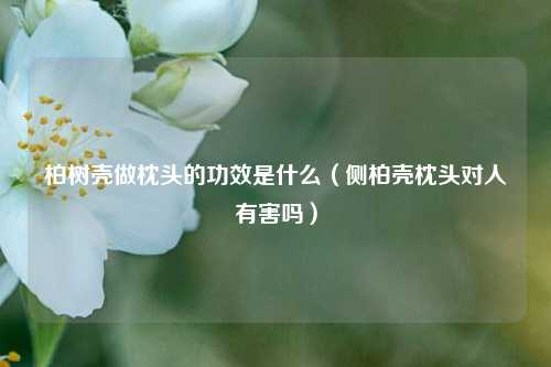 柏树壳做枕头的功效是什么（侧柏壳枕头对人有害吗）