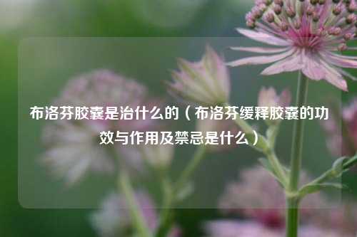 布洛芬胶囊是治什么的（布洛芬缓释胶囊的功效与作用及禁忌是什么）