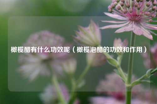 橄榄醋有什么功效呢（橄榄泡醋的功效和作用）