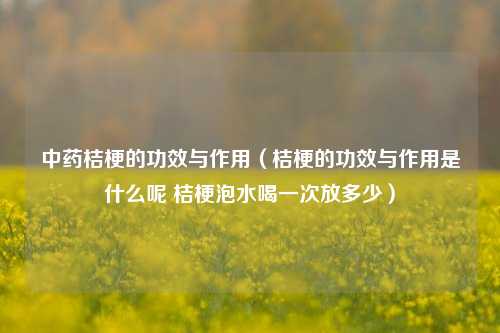 中药桔梗的功效与作用（桔梗的功效与作用是什么呢 桔梗泡水喝一次放多少）