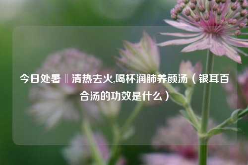 今日处暑‖清热去火,喝杯润肺养颜汤(银耳百合汤的功效是什么)