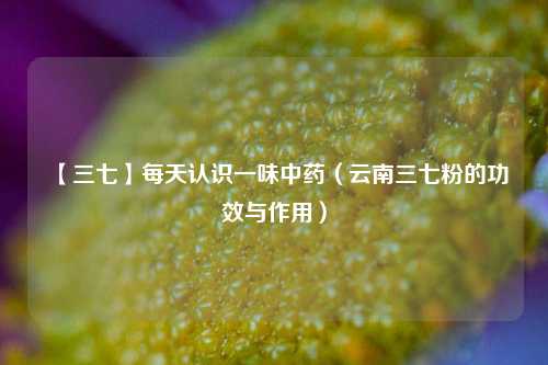 【三七】每天认识一味中药(云南三七粉的功效与作用)