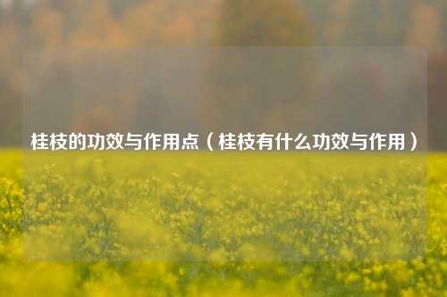 桂枝的功效与作用点(桂枝有什么功效与作用)