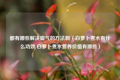 都有哪些解决脚气的方法啊(白萝卜煮水有什么功效 白萝卜煮水营养价值有哪些)