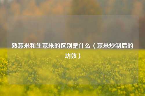 熟薏米和生薏米的区别是什么(薏米炒制后的功效)