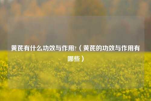 黄芪有什么功效与作用?(黄芪的功效与作用有哪些)