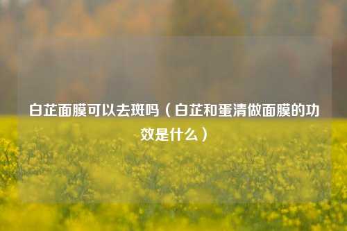 白芷面膜可以去斑吗(白芷和蛋清做面膜的功效是什么)