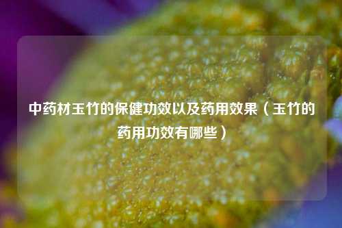 中药材玉竹的保健功效以及药用效果(玉竹的药用功效有哪些)