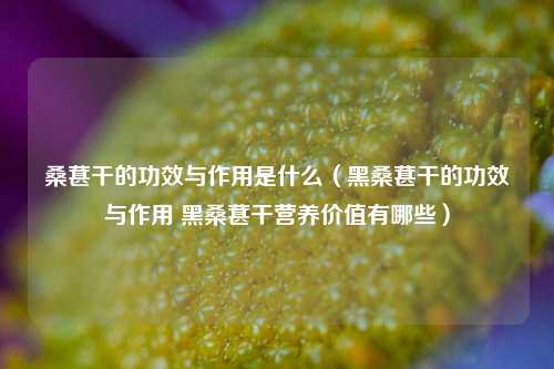 桑葚干的功效与作用是什么（黑桑葚干的功效与作用 黑桑葚干营养价值有哪些）