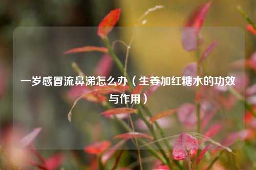 一岁感冒流鼻涕怎么办(生姜加红糖水的功效与作用)